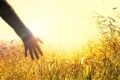 Solitudine o compagnia? De tranquillitate