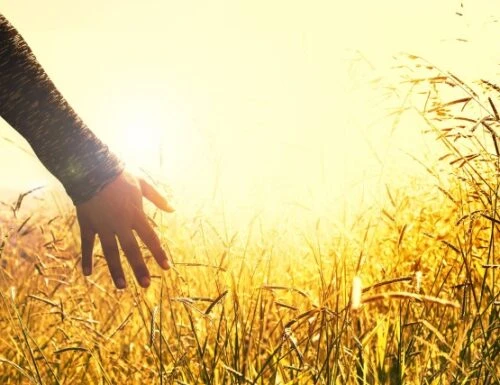 Meglio la solitudine o la compagnia?