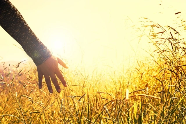 Meglio la solitudine o la compagnia?
