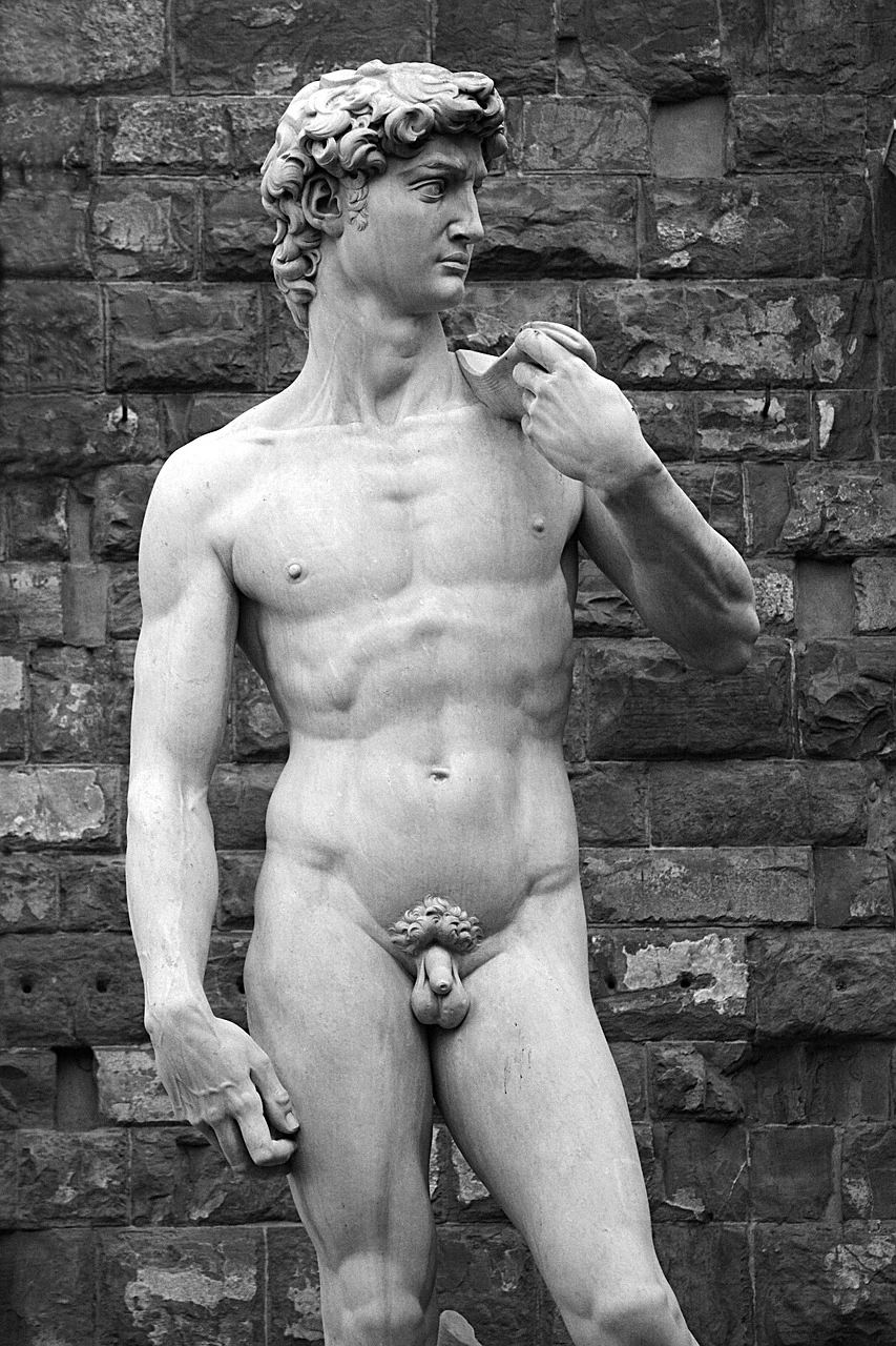 L’ideale della bellezza nel David di Michelangelo